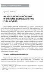 Miniaturka strony 29