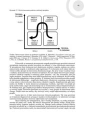 Miniaturka strony 45