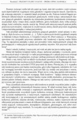 Miniaturka strony 19