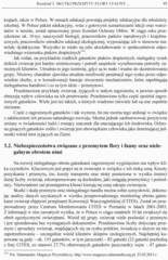 Miniaturka strony 95