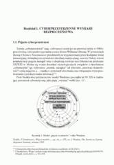 Miniaturka strony 13