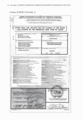 Miniaturka strony 36