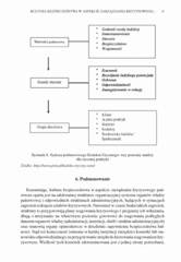 Miniaturka strony 37