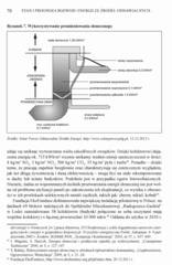 Miniaturka strony 70
