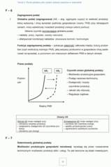 Miniaturka strony 21