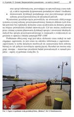 Miniaturka strony [85]