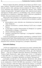 Miniaturka strony 41