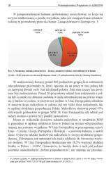 Miniaturka strony 26