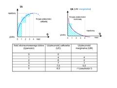 Miniaturka strony f5